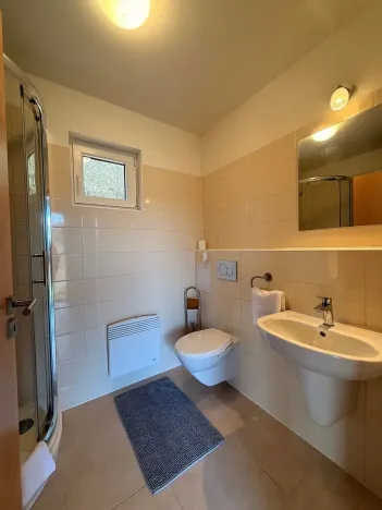 Pronájem bytu 2+kk, Dýšina, Horomyslická, 41 m2