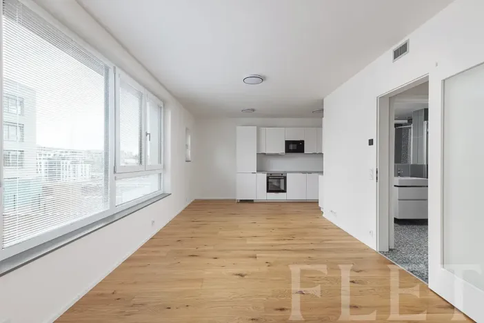 Pronájem bytu 1+kk, Praha - Radlice, U Komína, 38 m2