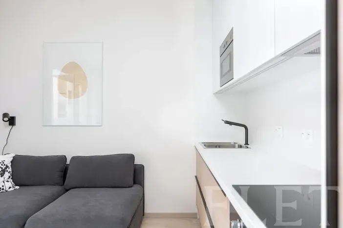 Pronájem bytu 1+kk, Praha - Karlín, Křižíkova, 28 m2