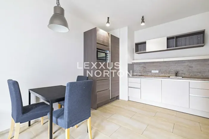 Pronájem bytu 1+kk, Praha - Bubeneč, Mlýnská, 37 m2