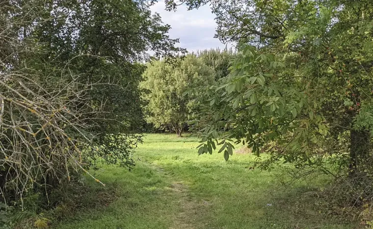 Prodej pozemku pro bydlení, Kladno, Jar. Seiferta, 4912 m2