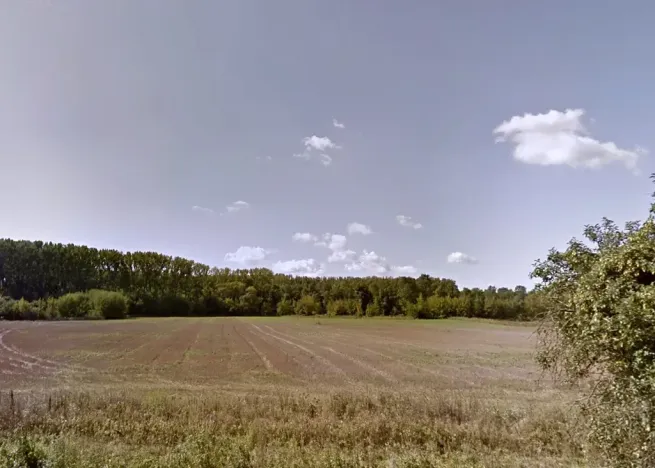 Prodej louky, Moravský Písek, 4960 m2