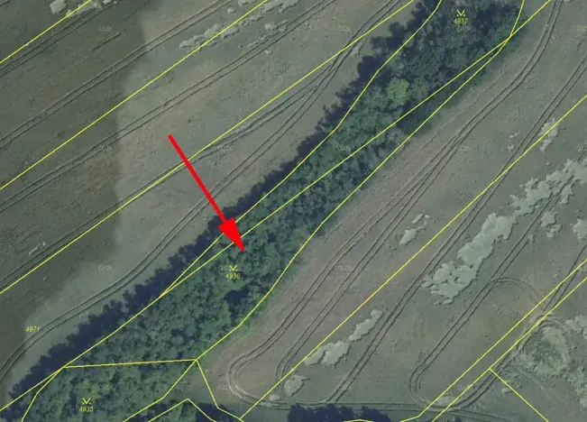 Prodej lesa, Němčany, 1773 m2