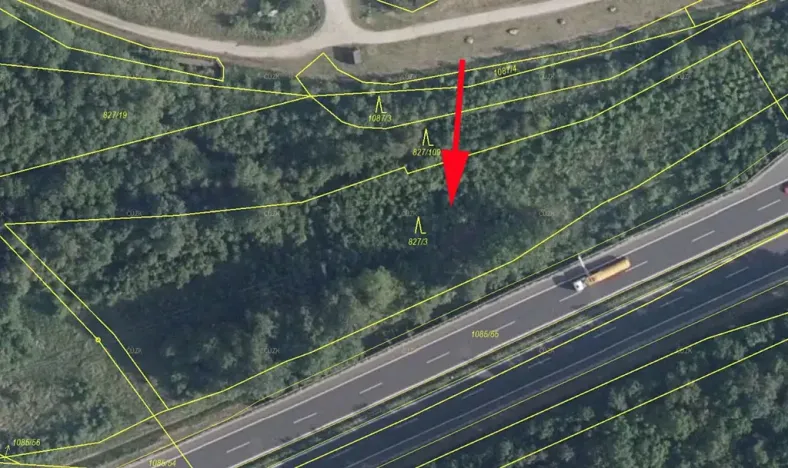 Prodej lesa, Sokolov, 5543 m2