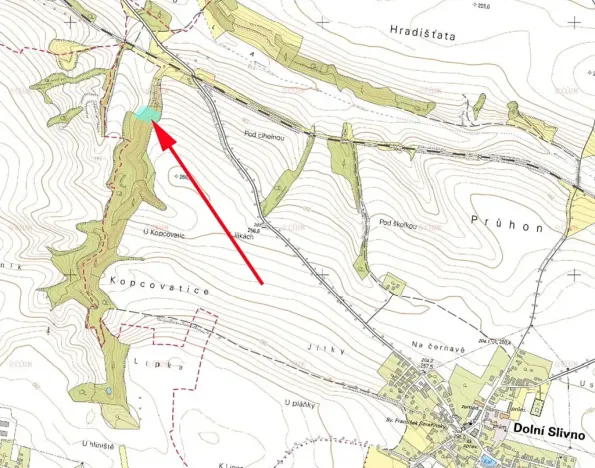 Prodej louky, Dolní Slivno, 3332 m2