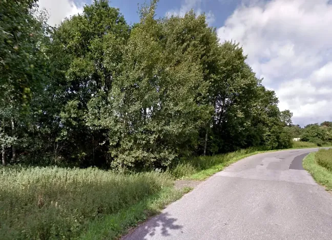 Prodej lesa, Dubnice, 1405 m2