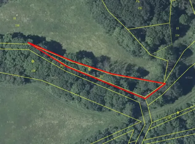 Prodej lesa, Kozly, 587 m2