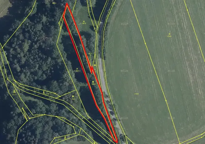 Prodej lesa, Dubnice, 1692 m2