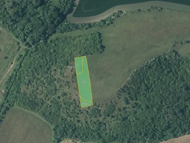 Prodej louky, Děčany, 2924 m2