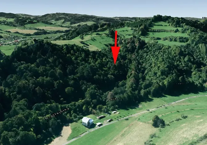 Prodej lesa, Huslenky, 13656 m2