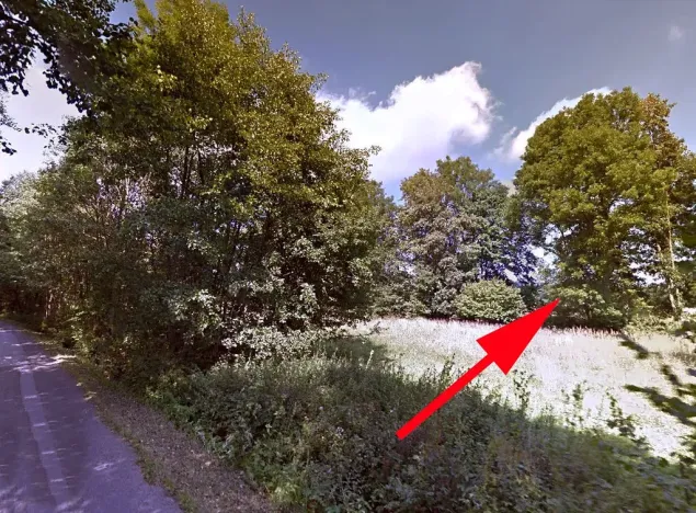 Prodej lesa, Žandov, 2536 m2