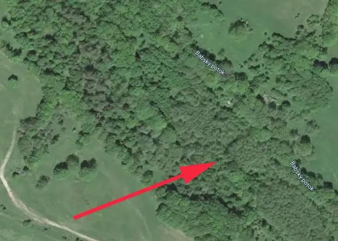 Prodej lesa, Trutnov, 13585 m2