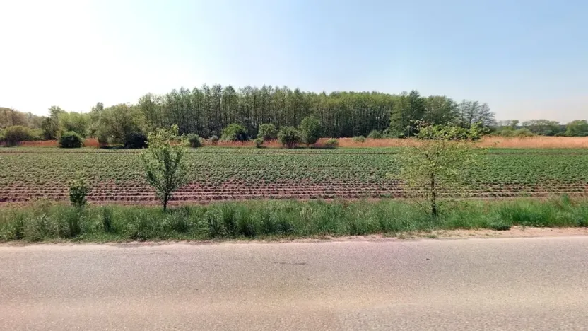 Prodej lesa, Lysá nad Labem, 8812 m2