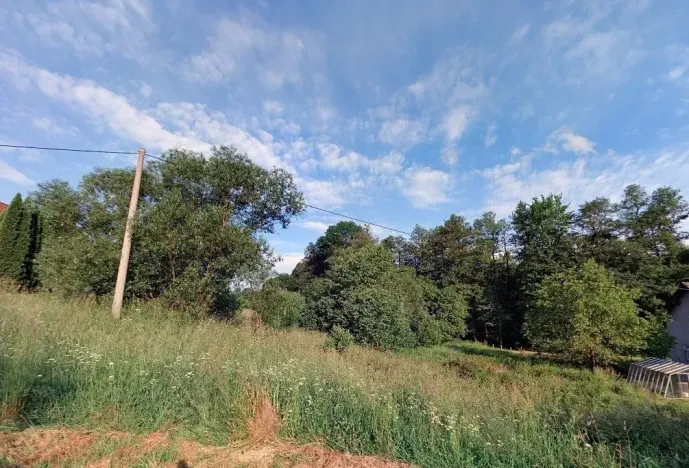 Prodej pozemku pro bydlení, Horní Čermná, 985 m2