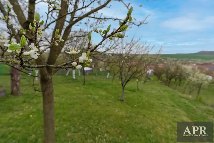 Prodej rodinného domu, Boršice u Blatnice, 105 m2