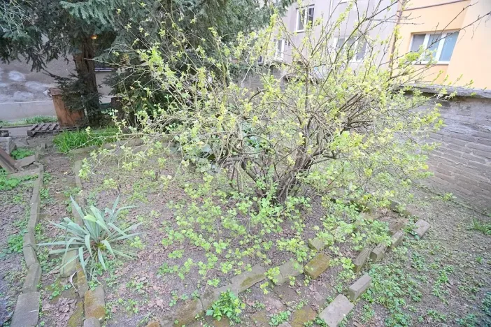 Prodej rodinného domu, Kralupy nad Vltavou, Jana Palacha, 132 m2