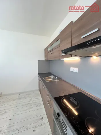 Pronájem bytu 2+1, Chomutov, Kamenný vrch, 58 m2