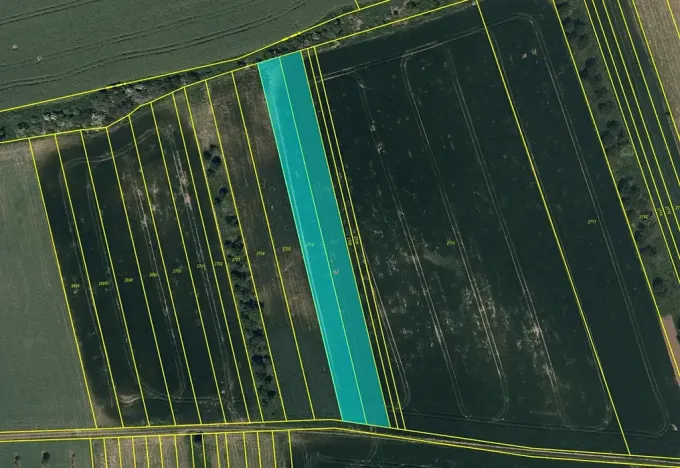 Prodej pole, Moravský Písek, 15604 m2