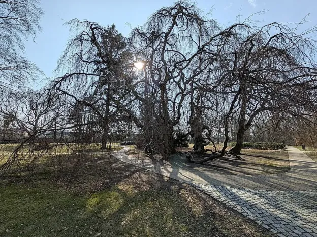 Prodej činžovního domu, Lipník nad Bečvou, Osecká, 1432 m2