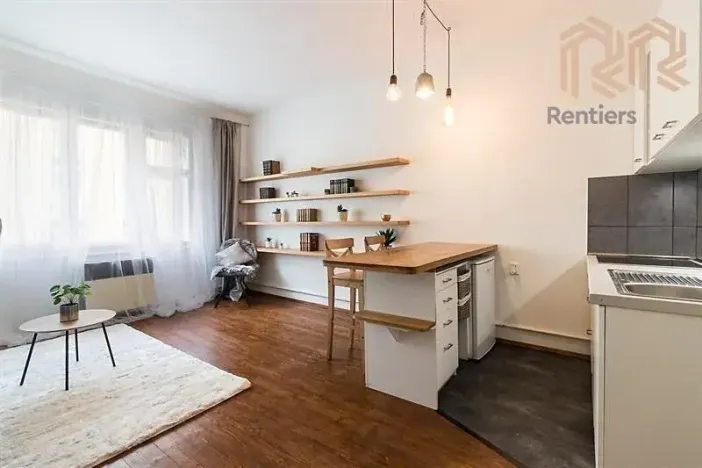 Pronájem bytu 1+kk, Praha - Žižkov, Radhošťská, 30 m2