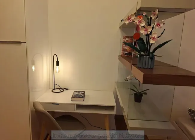 Pronájem bytu 1+kk, Praha - Nusle, náměstí Bratří Synků, 23 m2