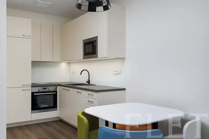 Pronájem bytu 2+kk, Praha - Žižkov, V domově, 48 m2