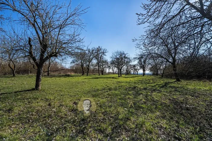 Prodej rodinného domu, Střemy, 100 m2