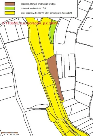 Prodej lesa, Hořepník, 9539 m2
