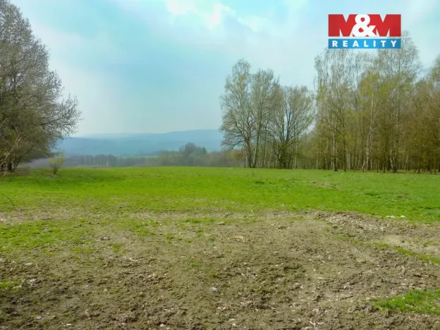 Prodej louky, Stružnice, 55278 m2