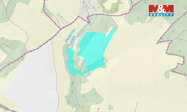 Prodej louky, Stružnice, 55278 m2