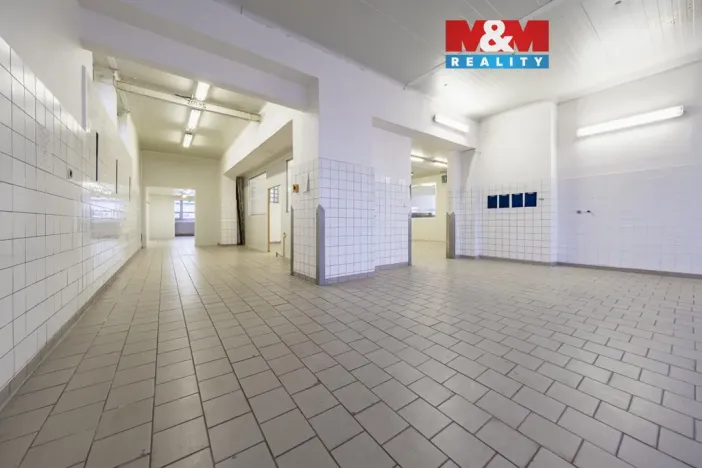 Pronájem skladu, Nymburk, Jičínská, 320 m2