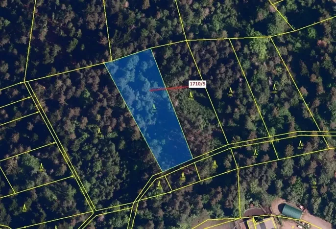 Dražba lesa, Návsí, 3528 m2