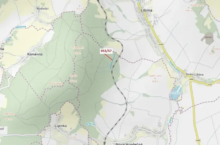 Dražba lesa, Nová Hradečná, 6750 m2