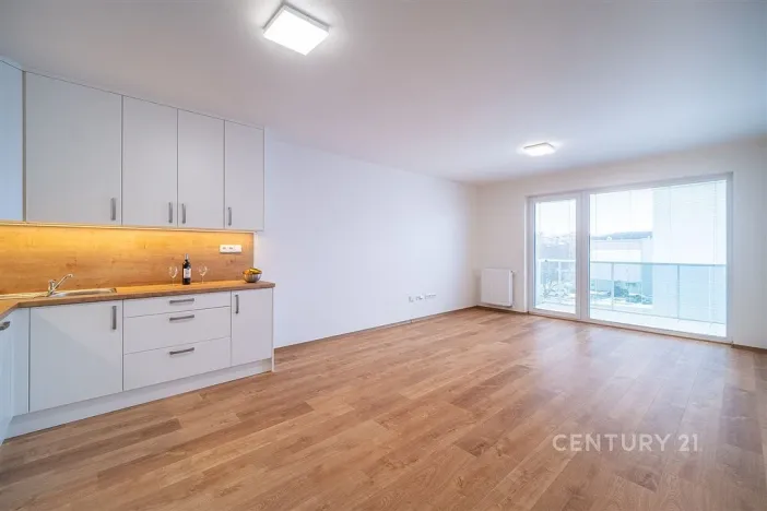 Pronájem bytu 3+kk, České Budějovice - České Budějovice 5, Františka Jelena, 65 m2