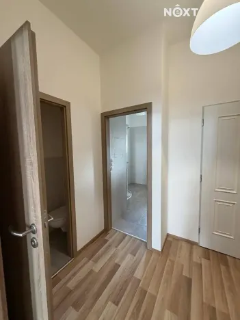 Pronájem bytu 1+kk, České Budějovice, Kostelní, 43 m2
