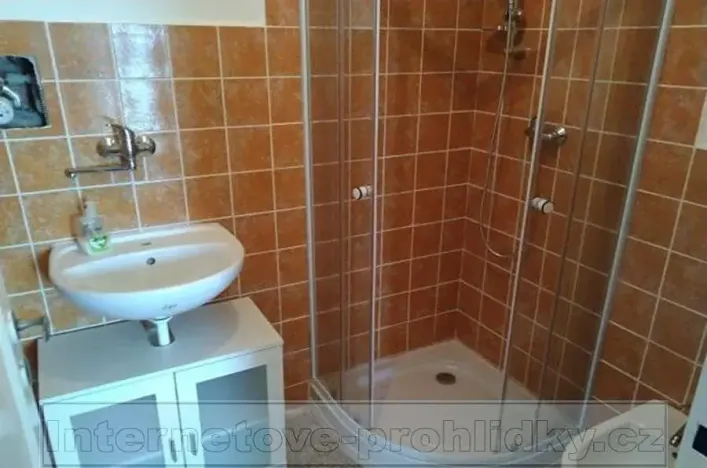 Pronájem pokoje, Brno, Jugoslávská, 20 m2