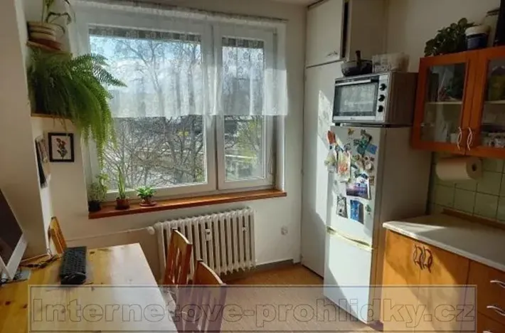 Pronájem pokoje, Brno, Mendlovo náměstí, 14 m2