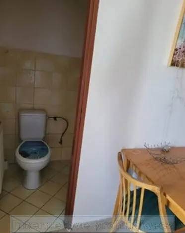 Pronájem bytu 1+1, Česká Lípa, Litoměřická, 40 m2