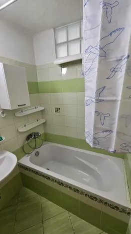 Pronájem bytu 2+1, Teplice, Svojsíkova, 55 m2