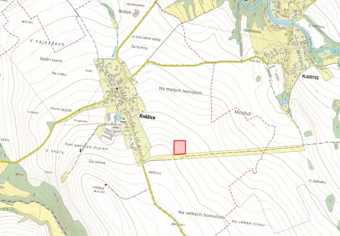Prodej pole, Kněžice, 10659 m2