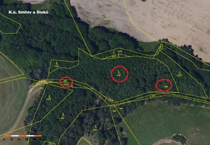 Prodej lesa, Štoky, 6941 m2