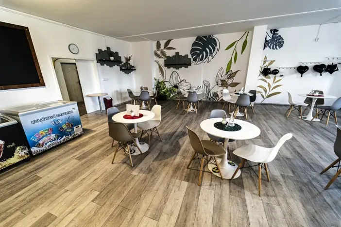 Prodej komerční nemovitosti, Mladá Boleslav, U stadionu, 986 m2