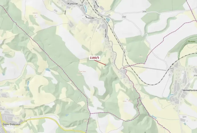 Dražba lesa, Letohrad, 282 m2