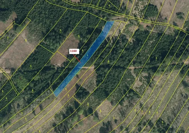 Dražba lesa, Vilice, 2693 m2