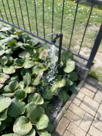 Pronájem zahrady, Praha - Dubeč, Dubečské Horky, 300 m2