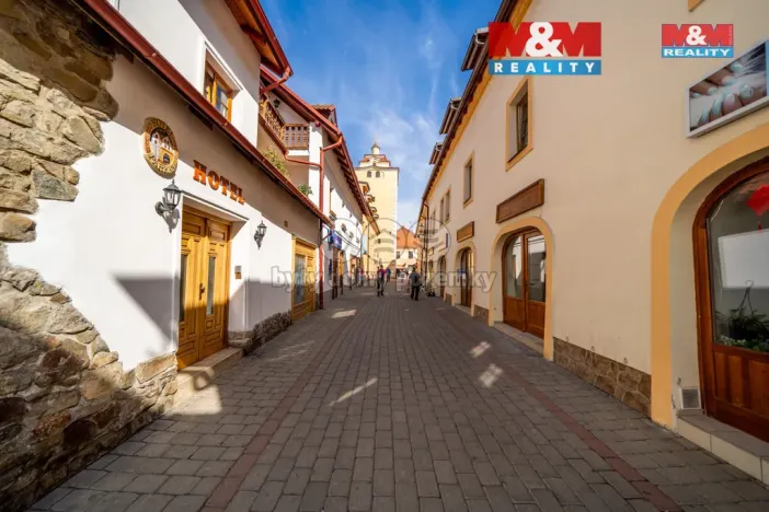 Pronájem bytu 1+kk, Beroun - Beroun-Centrum, Palackého, 38 m2