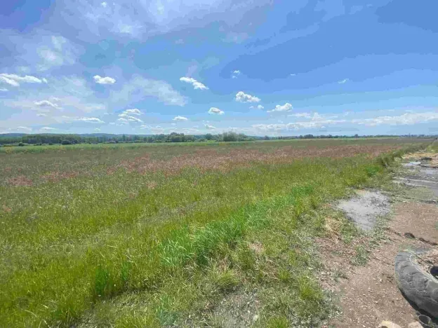 Prodej pozemku, Kravaře, 2873 m2