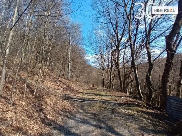 Prodej pozemku, Vsetín, 52963 m2