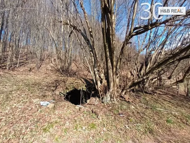 Prodej pozemku, Vsetín, 52963 m2