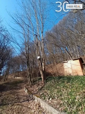 Prodej pozemku, Vsetín, 52963 m2